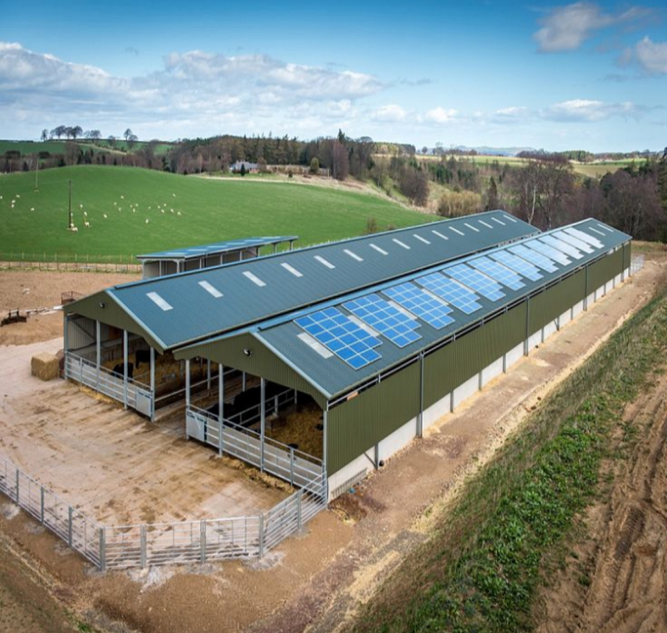 Ladang Ternakan lembu