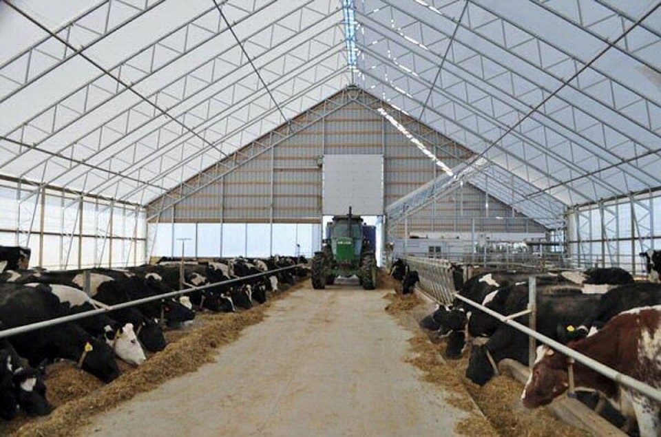 Tempat Permakanan Ternakan Lembu