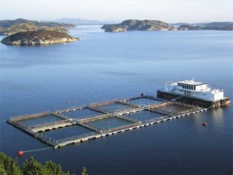 Ternakan Ikan Air Tawar